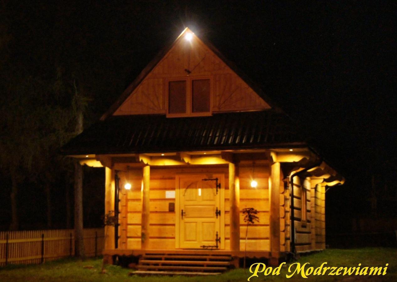 Vila Pod Modrzewiami Ciche  Exteriér fotografie