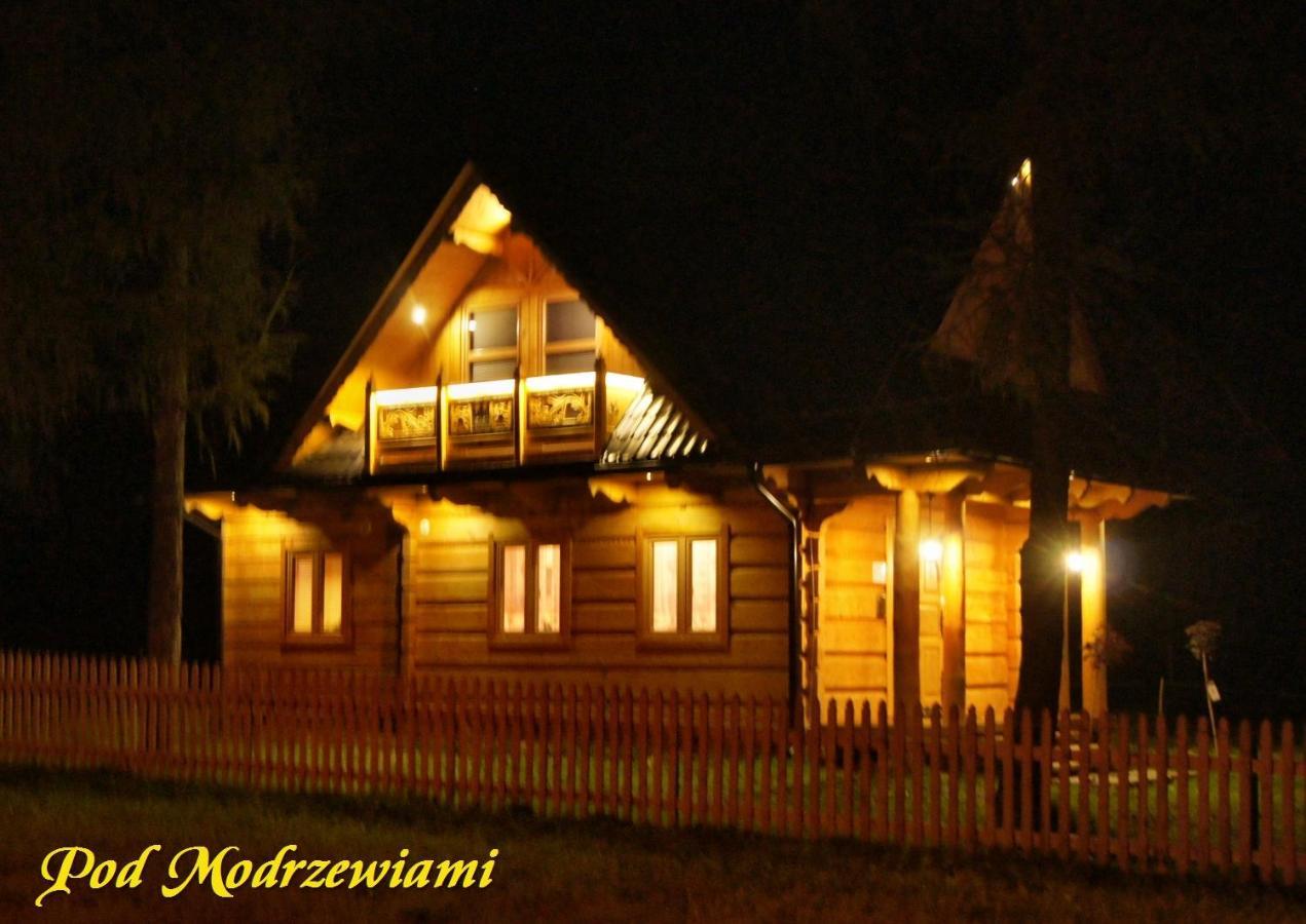 Vila Pod Modrzewiami Ciche  Exteriér fotografie