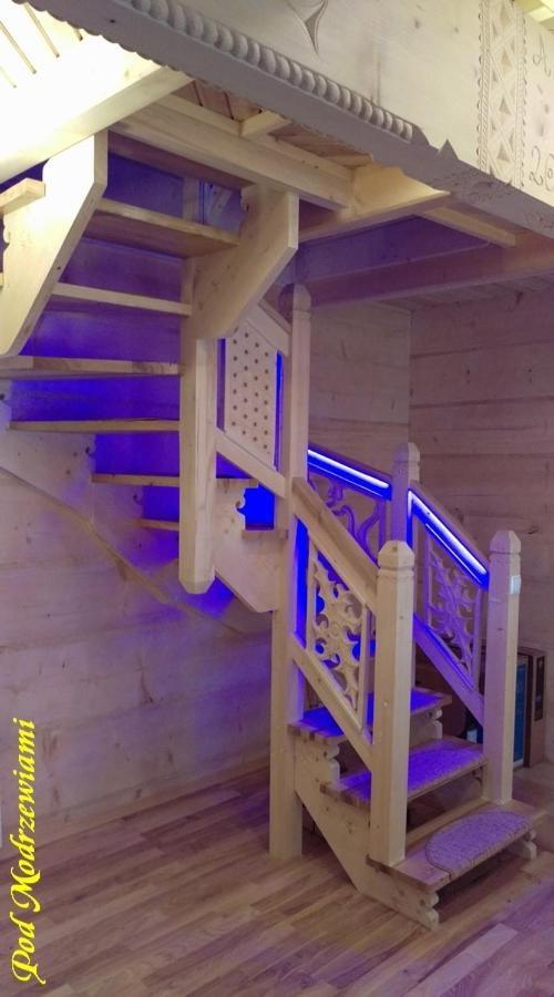 Vila Pod Modrzewiami Ciche  Exteriér fotografie