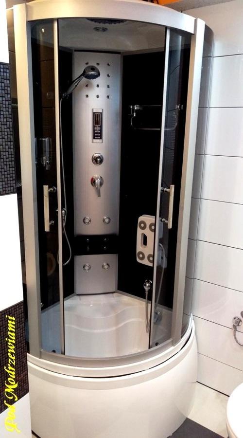 Vila Pod Modrzewiami Ciche  Exteriér fotografie